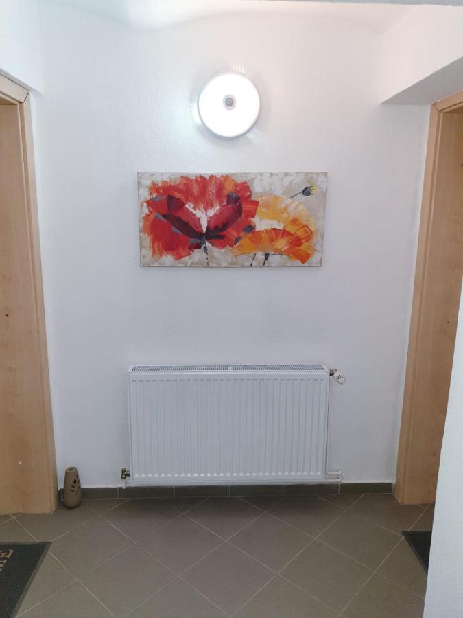 Appartement Castelului 1 à Braşov Extérieur photo